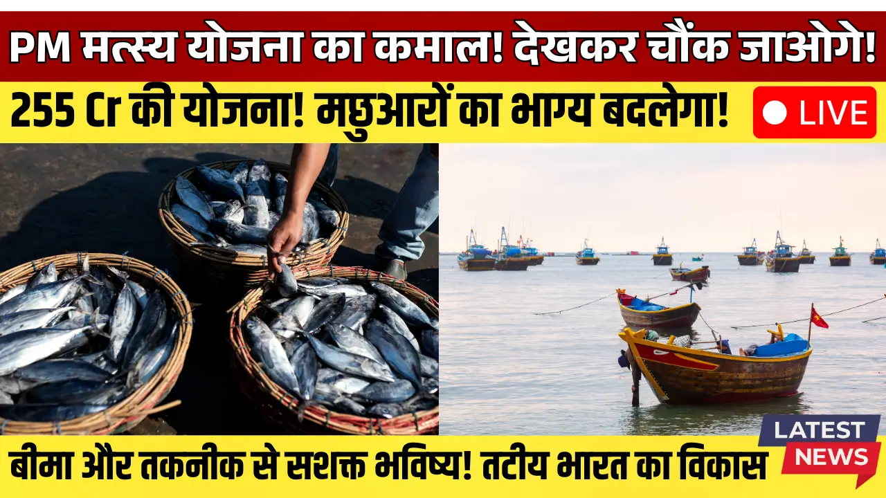 PM Matsya Sampada Yojana Ignites ₹255 Cr Fisheries Boom